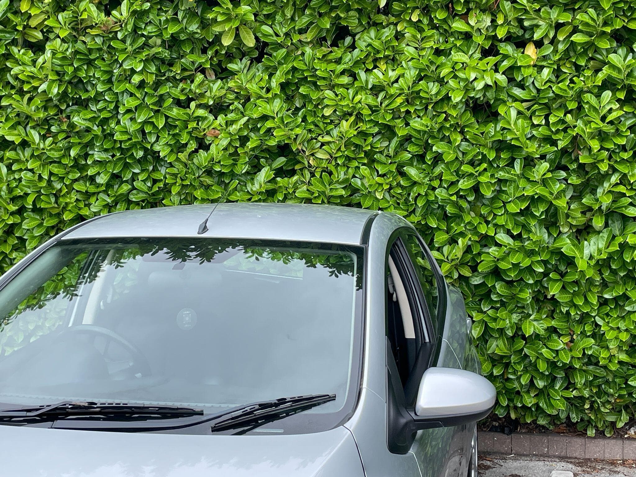 Mazda Mazda2 view 24