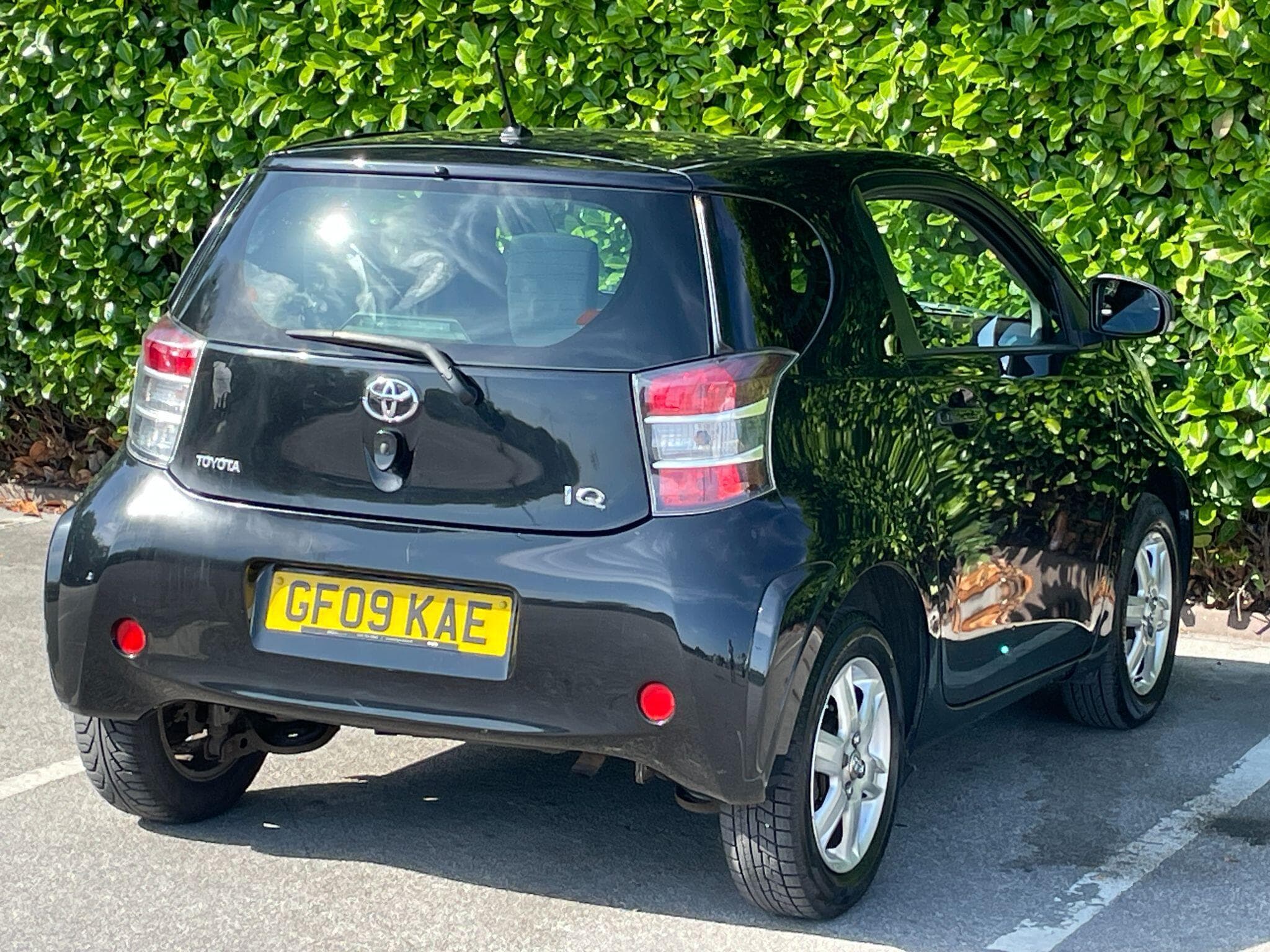 Toyota iQ view 9