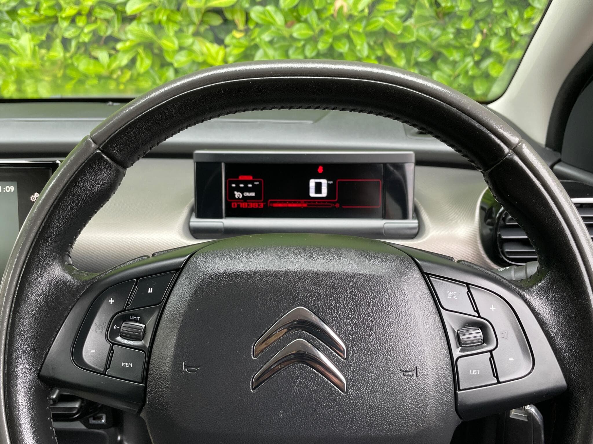 Citroen C4 Cactus view 21