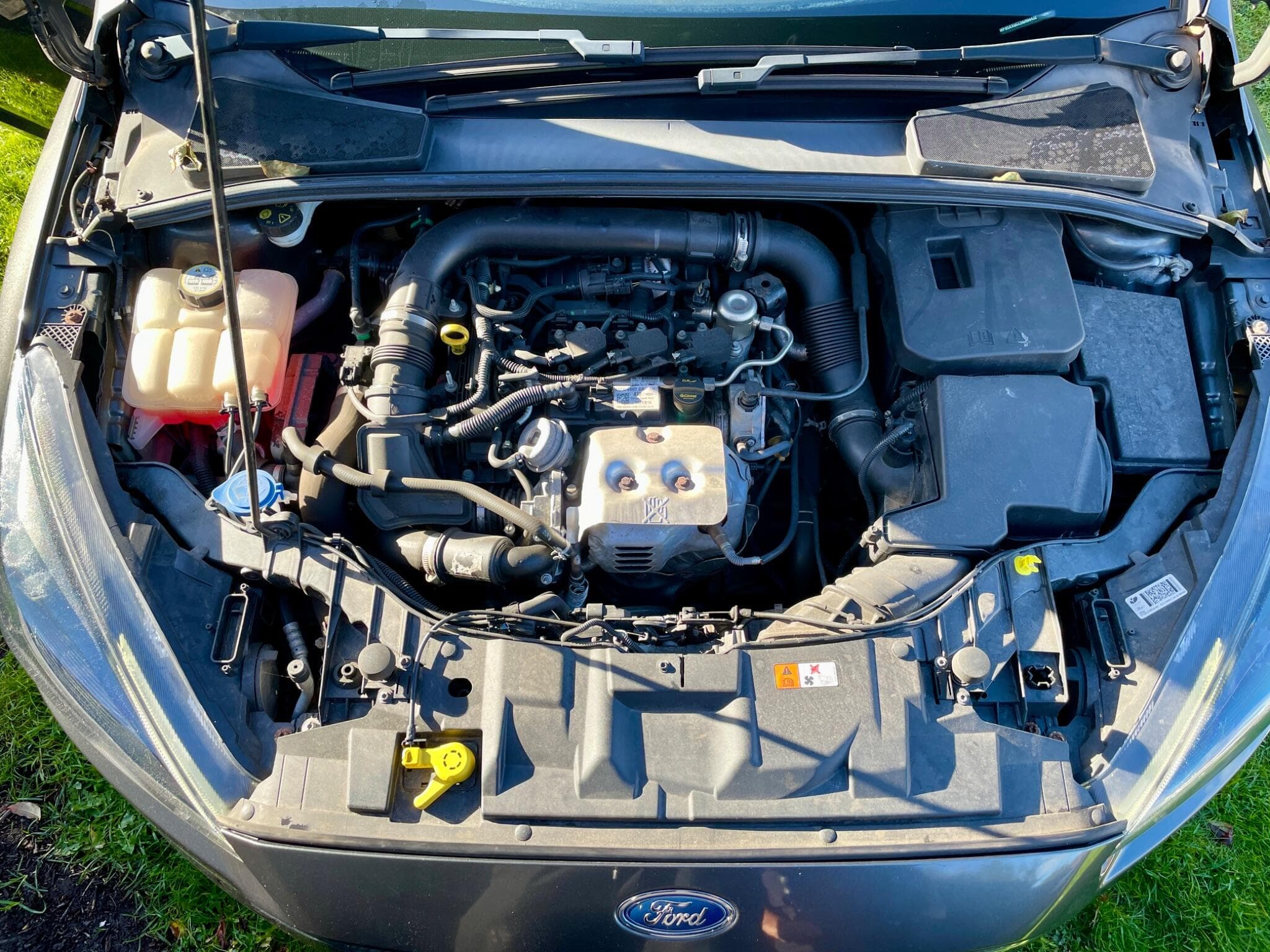Ford Focus view 36