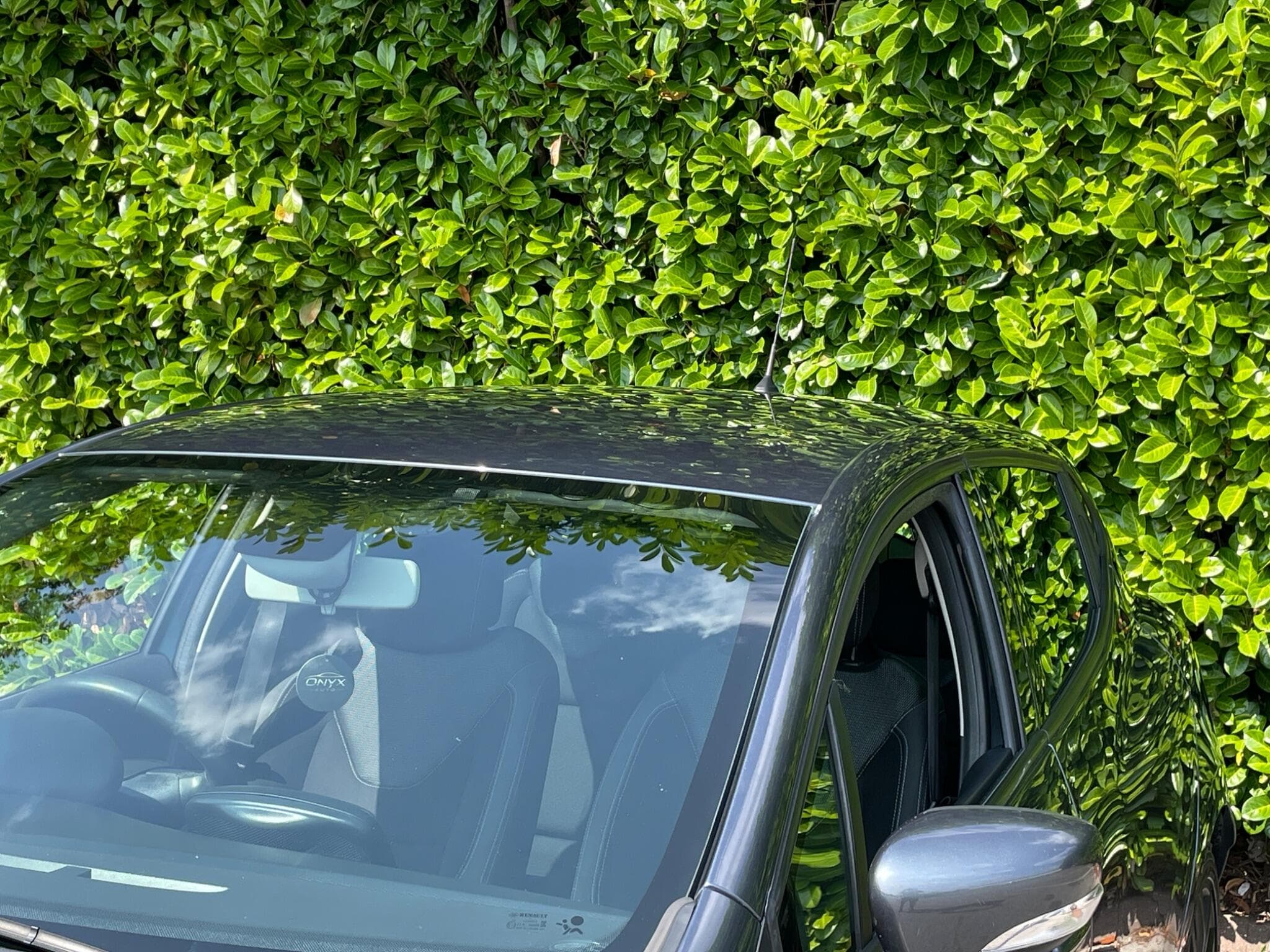 Renault Clio view 31