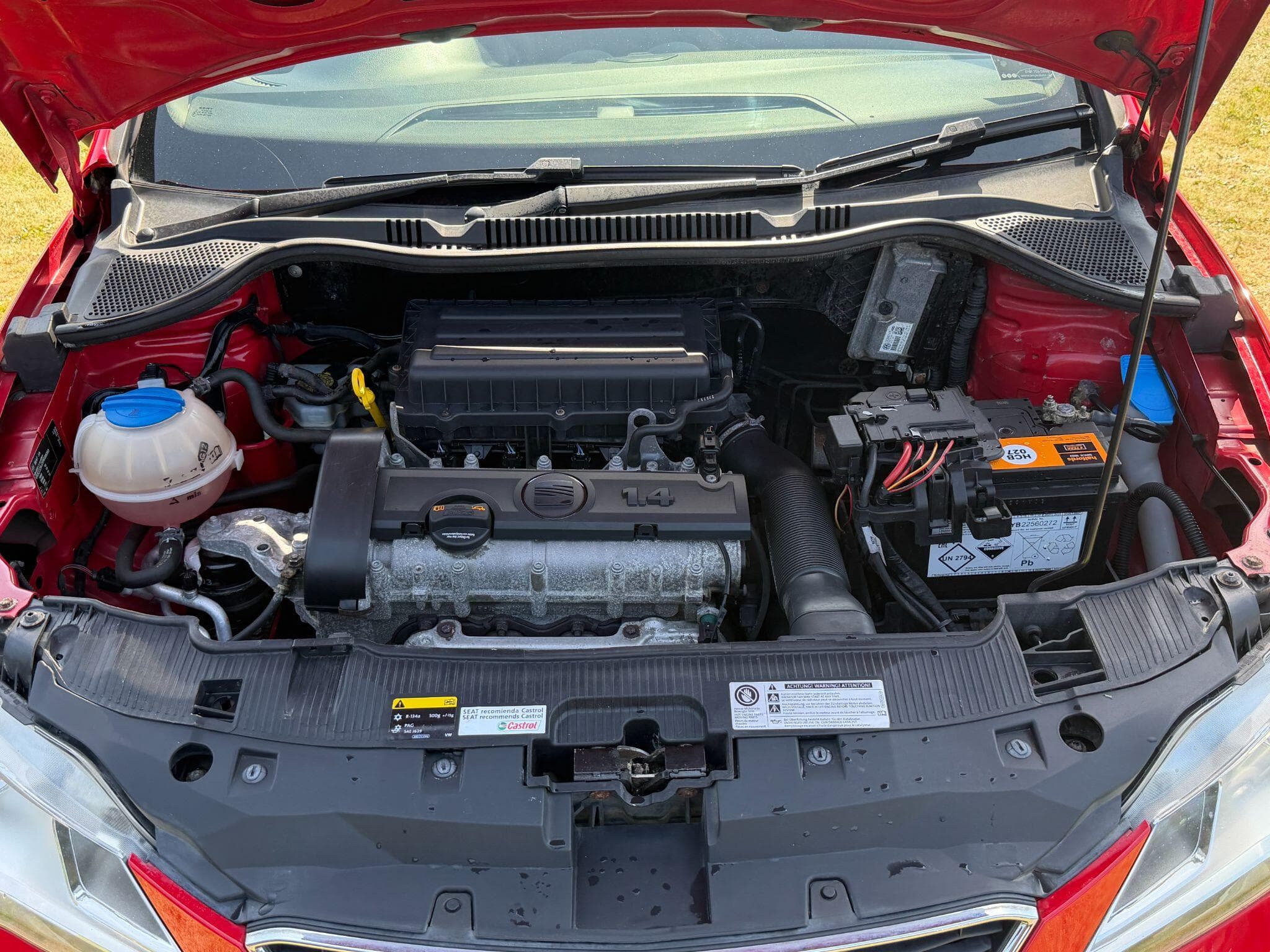 SEAT Ibiza view 22