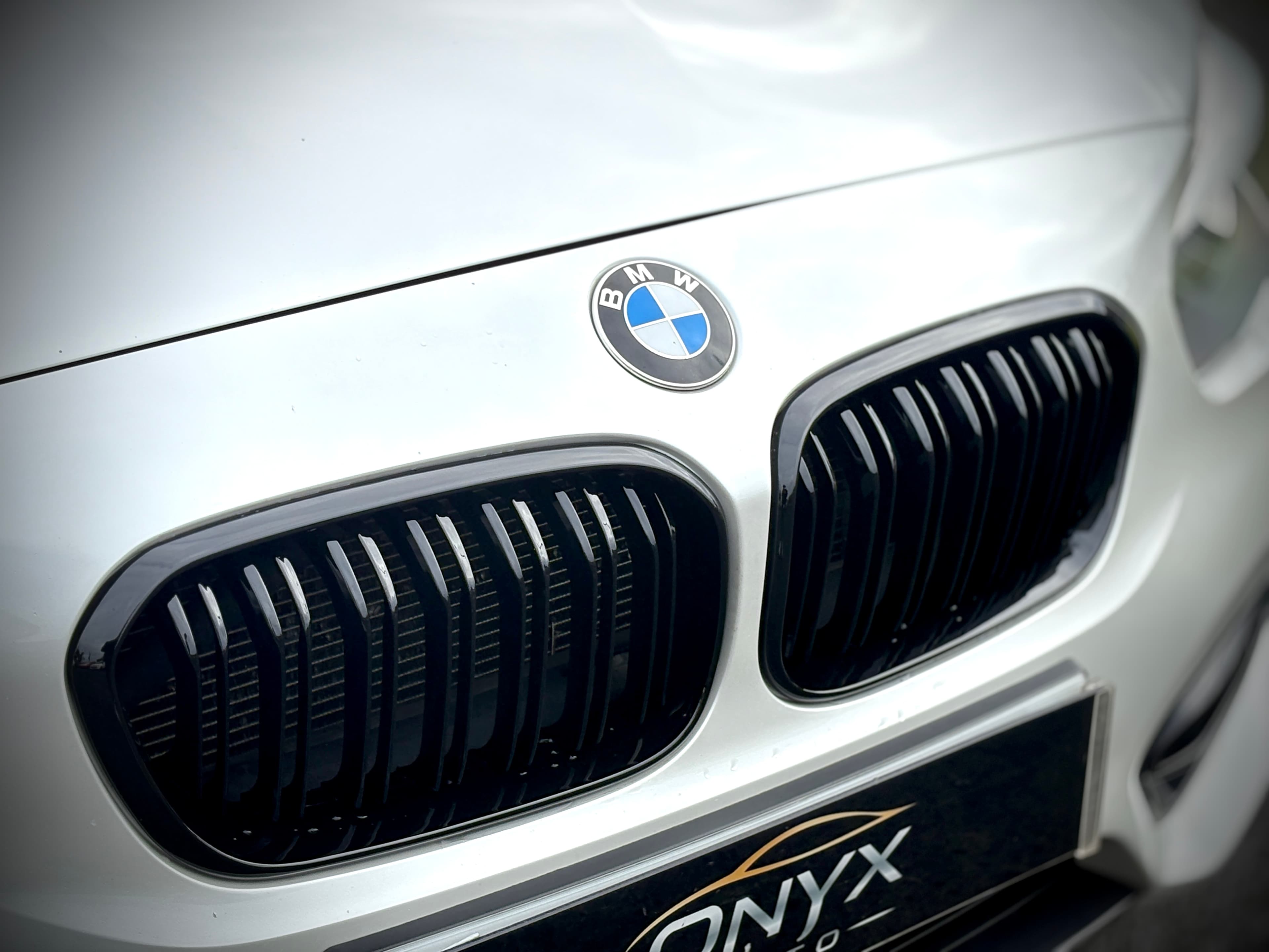 BMW 1 Series 118d Sport view 10