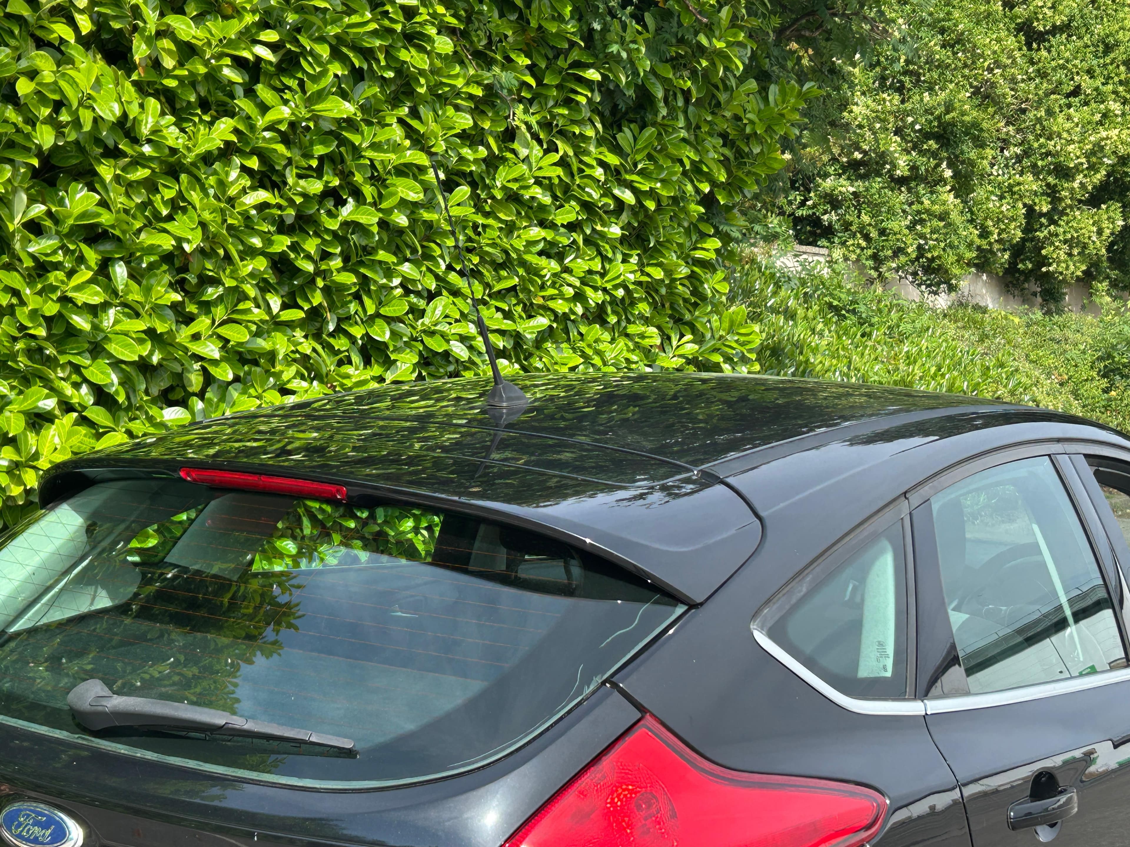 Ford Focus view 5
